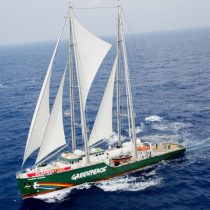 Barco de Greenpeace navega en Chile para pedir proteger el mar de salmoneras