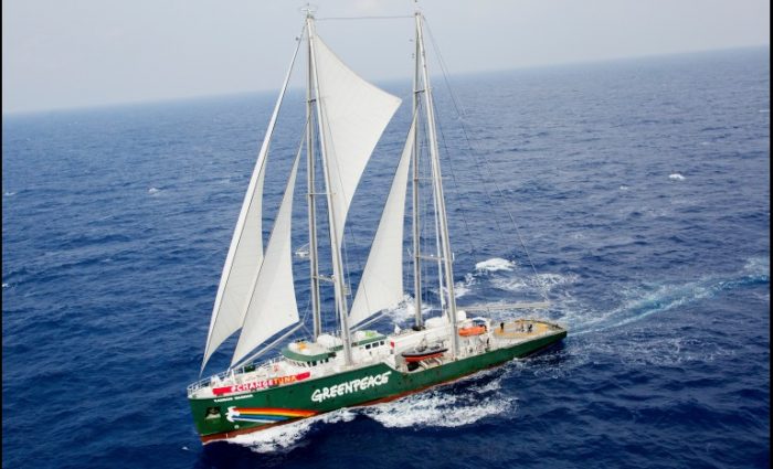 Barco de Greenpeace navega en Chile para pedir proteger el mar de salmoneras