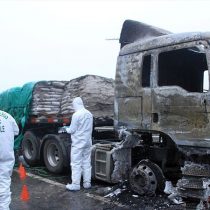 Ataque incendiario dejó un saldo de 19 camiones quemados en La Araucanía