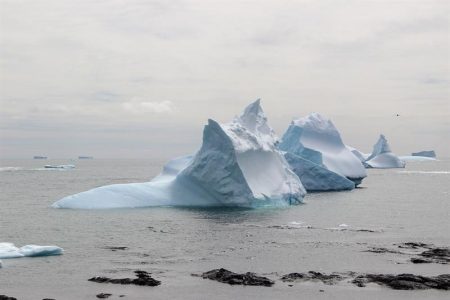Cabo Shirreff Un Oasis Para La Fauna Antartica Que Cautiva A Los Cientificos El Mostrador