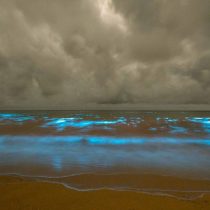 El espectacular resplandor del mar que tiene fascinados a los fotógrafos en Australia