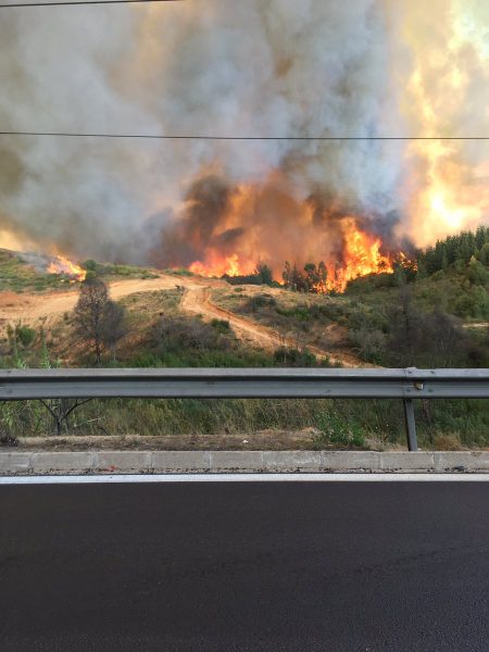 Alerta Roja para Valparaíso y Viña del Mar por intenso incendio forestal en la ruta 68