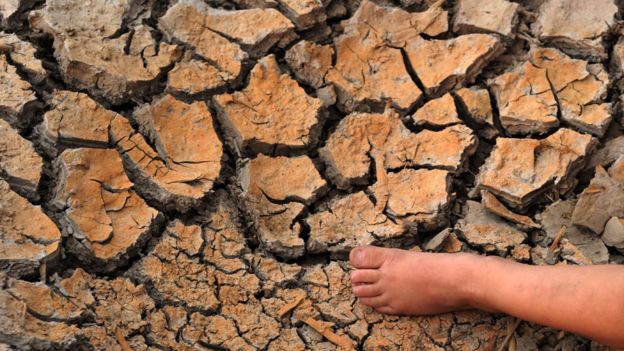 Tenemos US$8 billones para defender el clima Tenemos US$8 billones para defender el clima