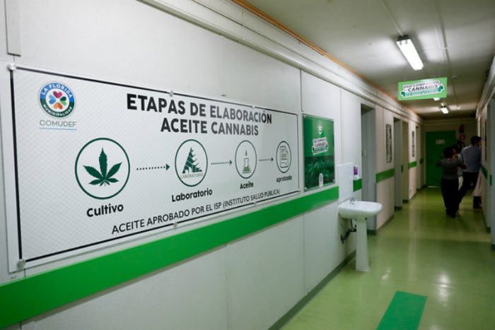 La Florida inicia primer estudio clínico con cannabis de Latinoamérica para tratar cáncer de mama y pulmón La Florida inicia primer estudio clínico con cannabis de Latinoamérica para tratar cáncer de mama y pulmón