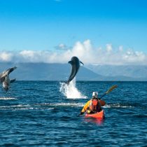 Parque Estrecho de Magallanes recibe impulso para proyectos sustentables por 50 años más