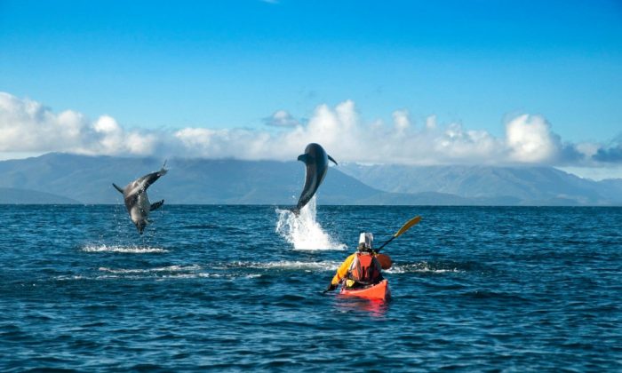 Parque Estrecho de Magallanes recibe impulso para proyectos sustentables por 50 años más