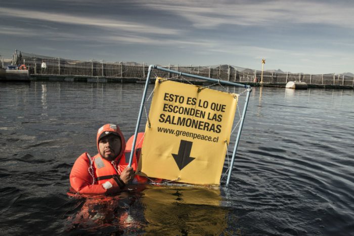 Greenpeace protesta para llamar la atención por contaminación de industria salmonera: 