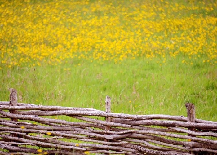 Fotografías de vacaciones, las no-postales del ocio Fotografías de vacaciones, las no-postales del ocio