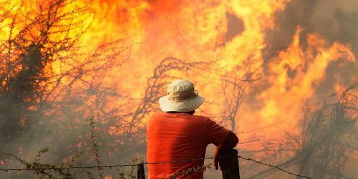 Incendios forestales: ¿aprendimos la lección? Incendios forestales: ¿aprendimos la lección?
