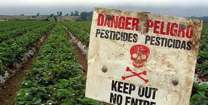 Pesticidas provocan la muerte de 200 mil personas al año