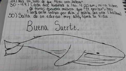Menor que jugó a la ballena azul: “Seguí por miedo a que le hicieran algo a mi familia” Menor que jugó a la ballena azul: “Seguí por miedo a que le hicieran algo a mi familia”