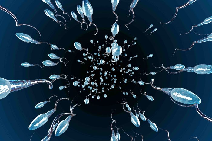 El lavado seminal permite que hombres con virus VIH tengan hijos sanos El lavado seminal permite que hombres con virus VIH tengan hijos sanos