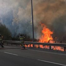 [VIDEO] Conaf declara Alerta Roja por incendio forestal en Valparaíso