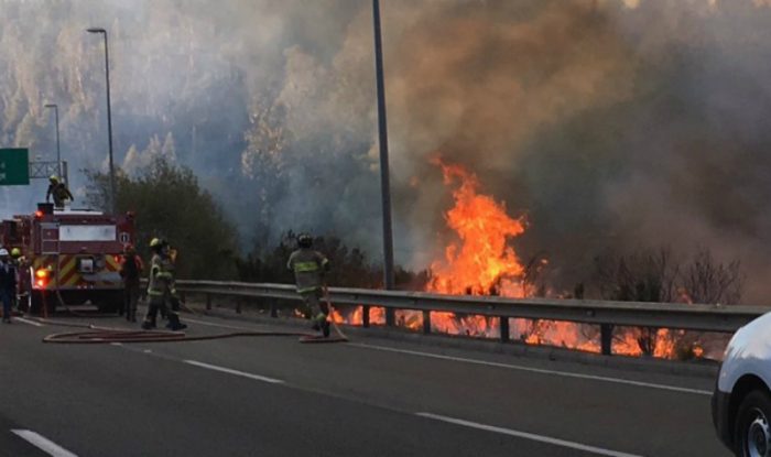 [VIDEO] Conaf declara Alerta Roja por incendio forestal en Valparaíso
