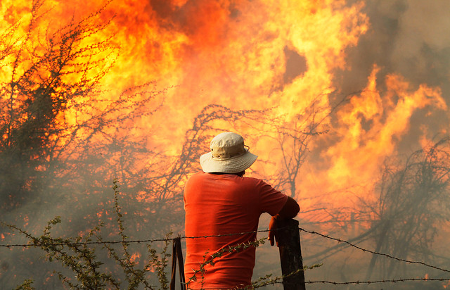 Incendios forestales: Corte de Apelaciones de Rancagua mantiene prisión preventiva a ejecutivo de CGE Incendios forestales: Corte de Apelaciones de Rancagua mantiene prisión preventiva a ejecutivo de CGE
