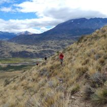 Programa de Donaciones Ambientales de Patagonia repartirá 100 mil dólares