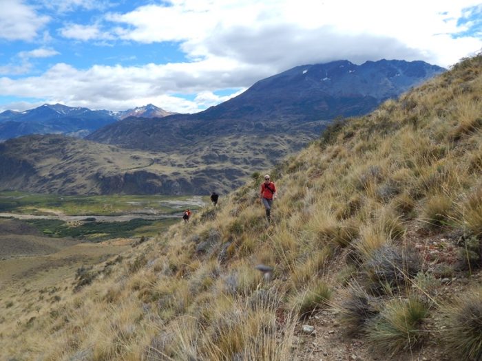 Programa de Donaciones Ambientales de Patagonia repartirá 100 mil dólares