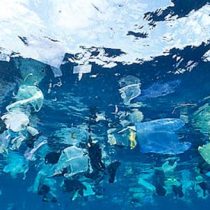 Hasta 25 mil toneladas anuales de desechos plásticos llegan al mar y no se pueden recuperar