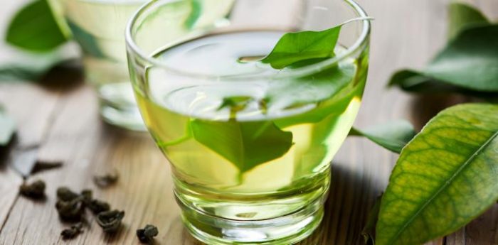 El compuesto del té verde que puede mejorar las habilidades cognitivas de personas con síndrome de Down El compuesto del té verde que puede mejorar las habilidades cognitivas de personas con síndrome de Down