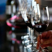 Oportunidad para viñateros chilenos: menor cosecha mundial de vino desde 1961 podría subir precios