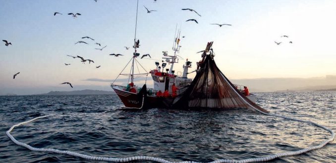 Pesca artesanal en la mira: Contraloría Regional de Valparaíso investiga irregularidades en el FAP por $4 mil millones Pesca artesanal en la mira: Contraloría Regional de Valparaíso investiga irregularidades en el FAP por $4 mil millones