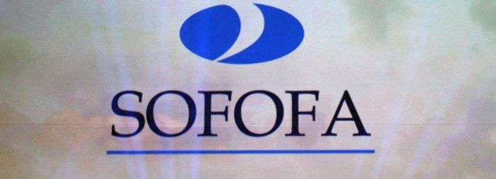 La propuesta constitucional de la Sofofa: más (también menos) de lo mismo La propuesta constitucional de la Sofofa: más (también menos) de lo mismo