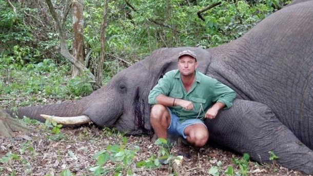 Aplastado por un elefante: así murió un avezado cazador sudafricano Aplastado por un elefante: así murió un avezado cazador sudafricano