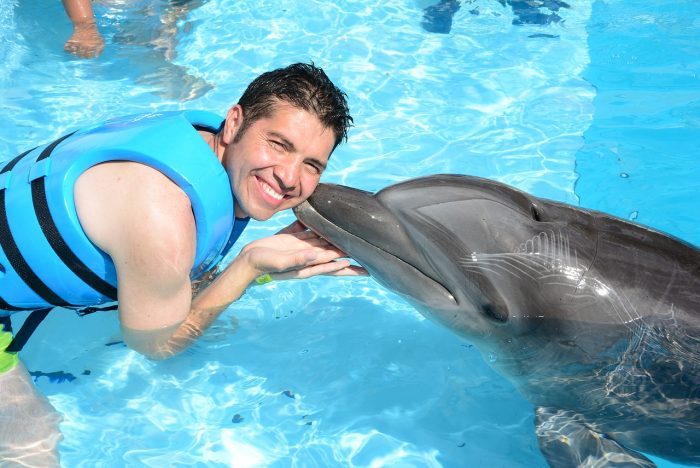 Las razones para no nadar con delfines