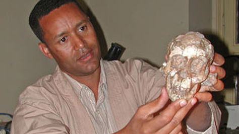 Fósil de 3 millones de años revela origen de la columna vertebral en humanos