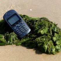 Cuáles son los idiomas que están en peligro de extinción por culpa de los smartphones