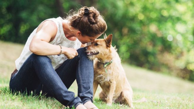 Perros al parque: cómo tener una sana convivencia entre mascotas y personas Perros al parque: cómo tener una sana convivencia entre mascotas y personas