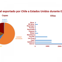 La competencia vitivinícola entre Chile y Argentina: ¿cuántas copas vendés?