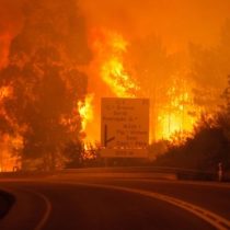 Al menos 62 personas muertas deja incendio forestal en Portugal