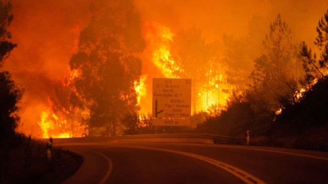Al menos 62 personas muertas deja incendio forestal en Portugal Al menos 62 personas muertas deja incendio forestal en Portugal