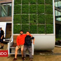 [VIDEO] Cómo es el árbol de musgo alemán diseñado para absorber la polución del aire en las ciudades