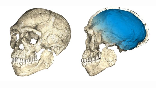 El fascinante hallazgo del primer ‘Homo sapiens’ que reescribe lo que se sabe del origen humano El fascinante hallazgo del primer 'Homo sapiens' que reescribe lo que se sabe del origen humano