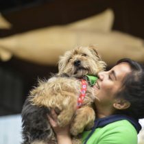 Interacciones entre especies: ¿Cómo se genera el vínculo entre humanos y perros?