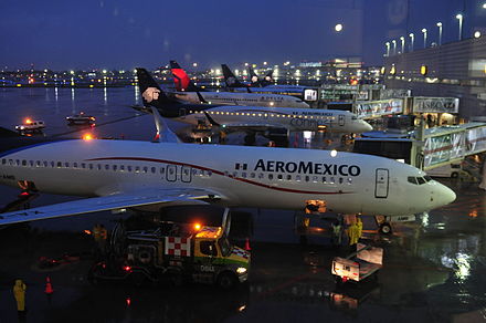 Un escorpión pica a una mujer en pleno vuelo de México a Chicago Un escorpión pica a una mujer en pleno vuelo de México a Chicago