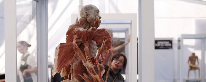 Exhibición «Bodies: Cuerpos humanos reales» en Mall Florida Center