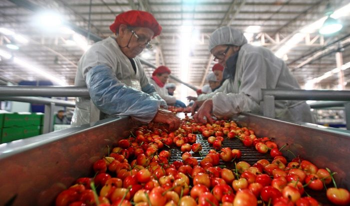Otro espionaje entre empresarios: Asociación de Exportadores de Frutas presenta querella por delito informático Otro espionaje entre empresarios: Asociación de Exportadores de Frutas presenta querella por delito informático