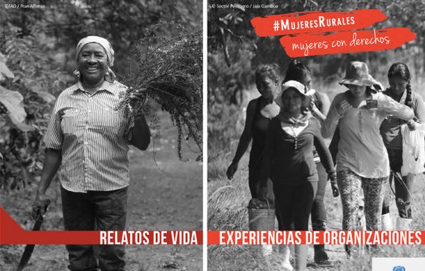 FAO lanza concurso de relatos y fotografía sobre mujeres rurales FAO lanza concurso de relatos y fotografía sobre mujeres rurales