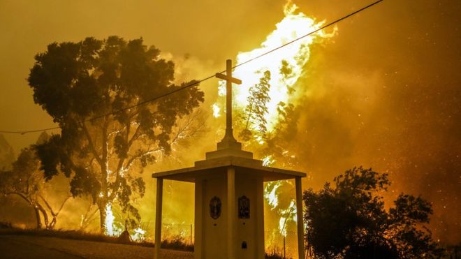 Las 12 personas que sobrevivieron escondidas en un tanque de agua al devastador incendio de Portugal que dejó al menos 62 fallecidos Las 12 personas que sobrevivieron escondidas en un tanque de agua al devastador incendio de Portugal que dejó al menos 62 fallecidos