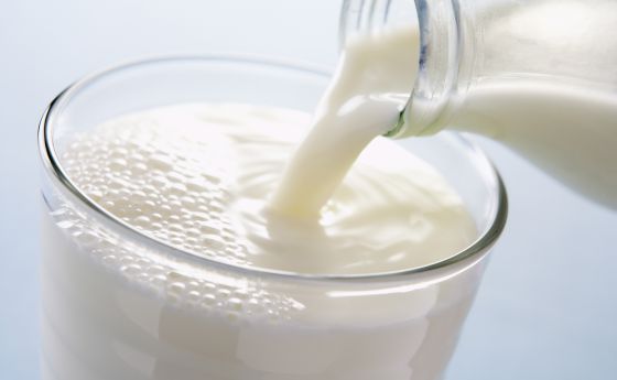 [Archivo] La guerra de la leche: una pelea hasta la última gota