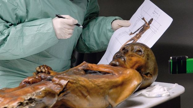 Revelan circunstancias del asesinato de Oetzi, el Hombre de Hielo, cometido hace 5.300 años Revelan circunstancias del asesinato de Oetzi, el Hombre de Hielo, cometido hace 5.300 años
