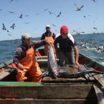 Dirigente de pescadores artesanales considera 