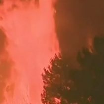 [VIDEO] El violento incendio que provocó “la peor tragedia humana” en Portugal y dejó más de 62 muertos