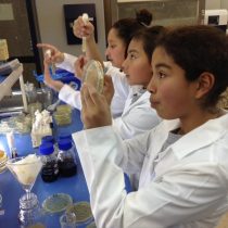 UTalca realizará congresos provinciales de Ciencia Escolar