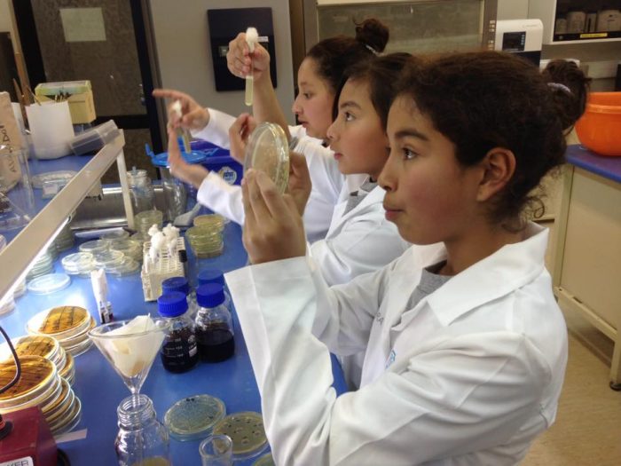 UTalca realizará congresos provinciales de Ciencia Escolar UTalca realizará congresos provinciales de Ciencia Escolar