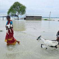 [VIDEO] El registro de las intensas lluvias e inundaciones que han afectado a más de 380.000 personas en la India