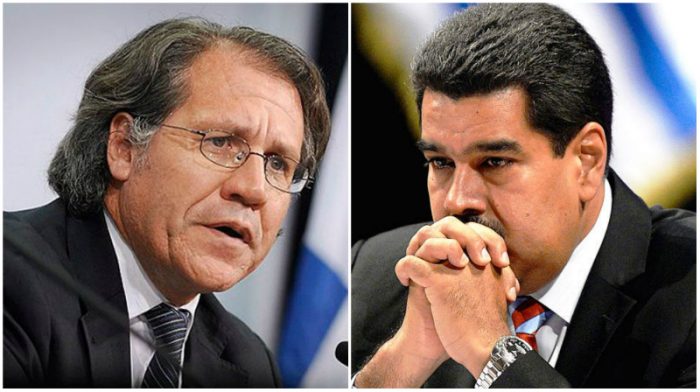 OEA pide detener Asamblea Constituyente en Venezuela por presuntas irregularidades OEA pide detener Asamblea Constituyente en Venezuela por presuntas irregularidades